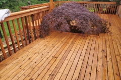 TK Cedar Deck with Cedar Railing
