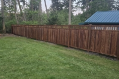 66bf2a98-6d9e-49a8-9715-23594d80fc2c